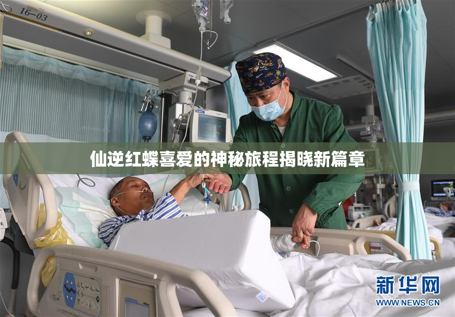 仙逆红蝶喜爱的神秘旅程揭晓新篇章