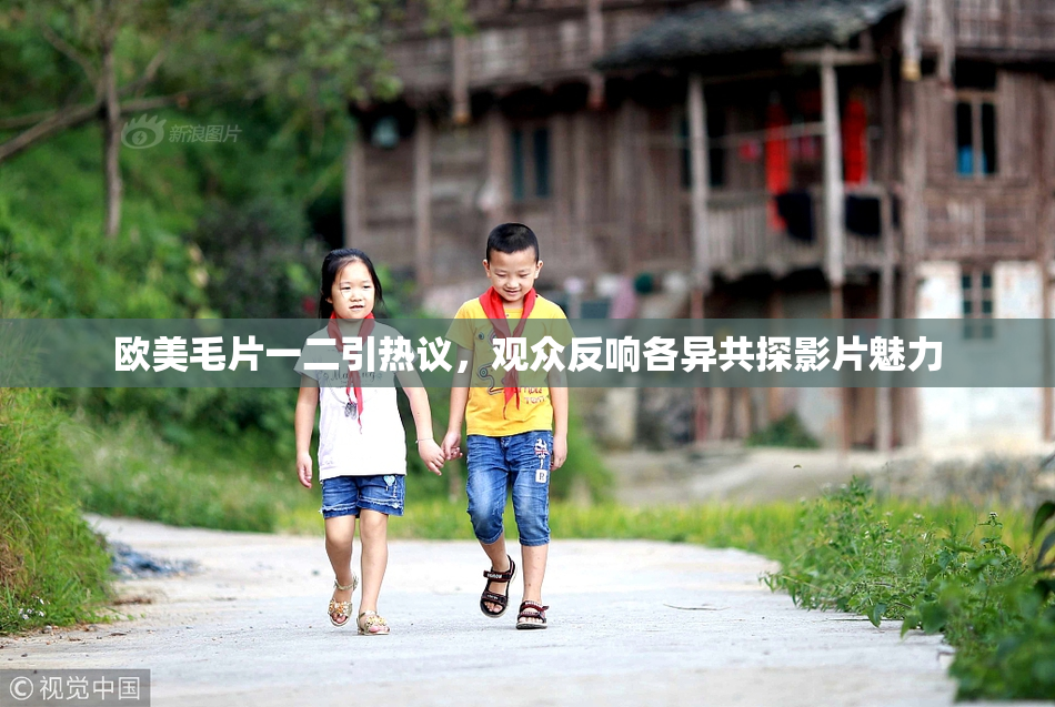 欧美毛片一二引热议，观众反响各异共探影片魅力