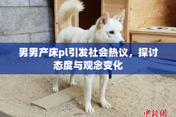 男男产床pl引发社会热议，探讨态度与观念变化