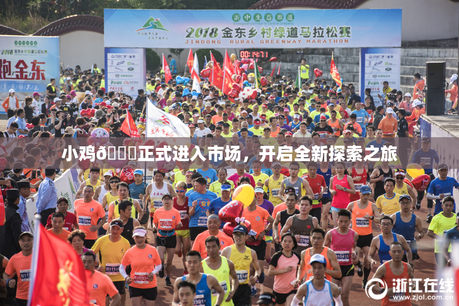 小鸡🐔正式进入市场，开启全新探索之旅