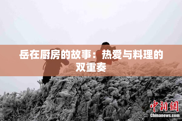 岳在厨房的故事：热爱与料理的双重奏