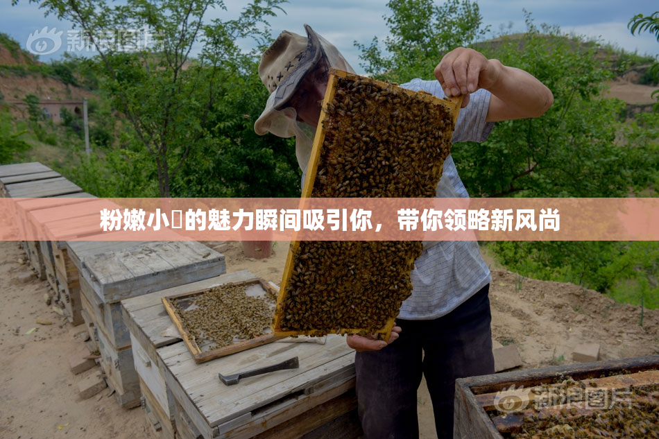 粉嫩小泬的魅力瞬间吸引你，带你领略新风尚