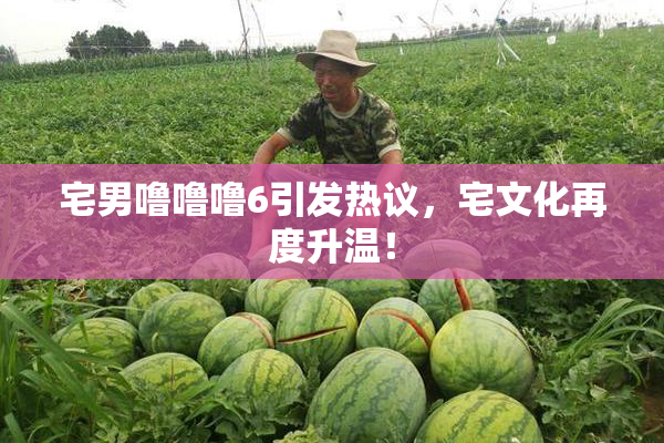 宅男噜噜噜6引发热议，宅文化再度升温！