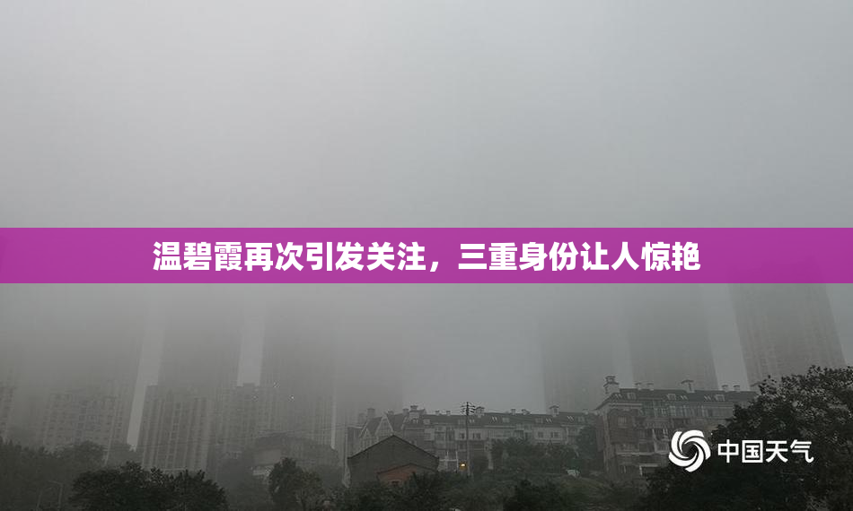 温碧霞再次引发关注，三重身份让人惊艳