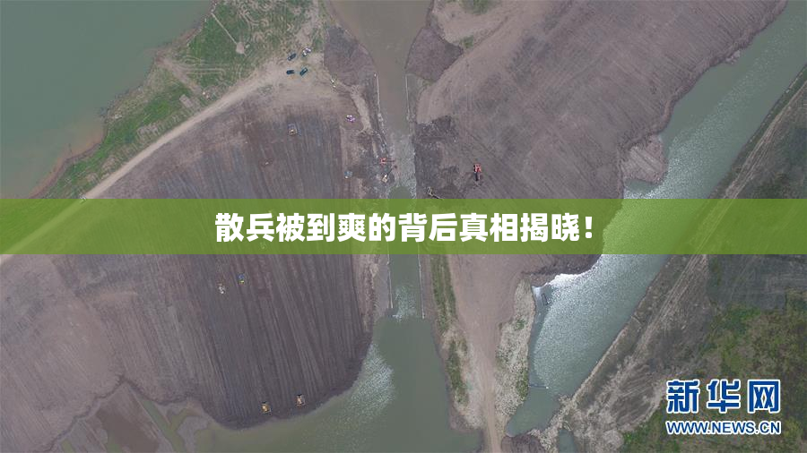 散兵被到爽的背后真相揭晓！