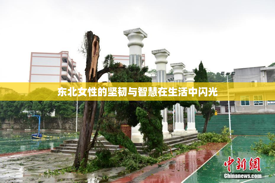 东北女性的坚韧与智慧在生活中闪光