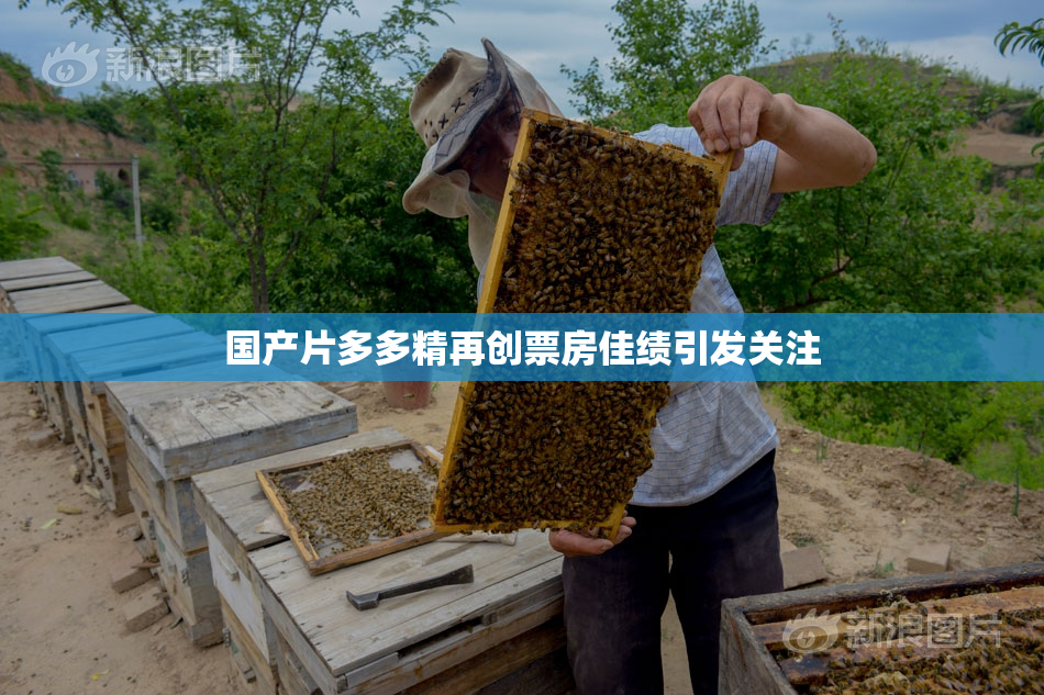 国产片多多精再创票房佳绩引发关注
