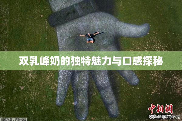 双乳峰奶的独特魅力与口感探秘