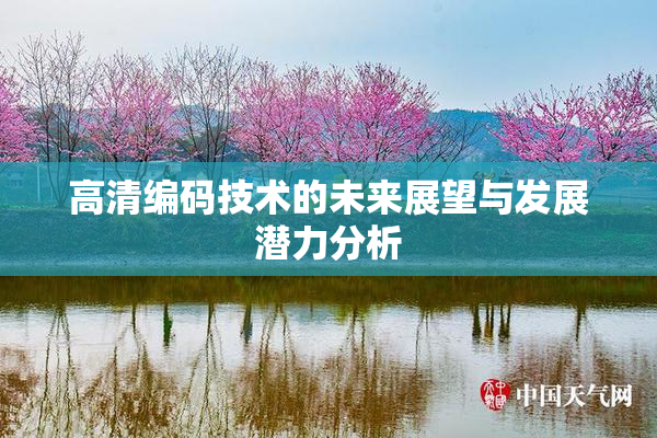 高清编码技术的未来展望与发展潜力分析