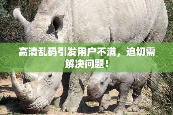 高清乱码引发用户不满，迫切需解决问题！