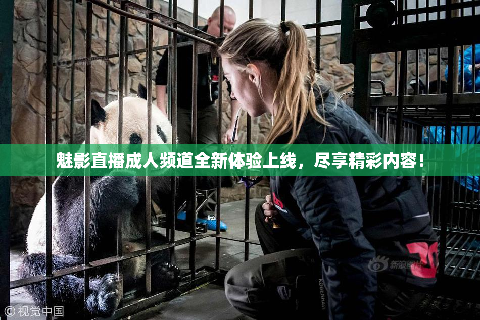 魅影直播成人频道全新体验上线，尽享精彩内容！