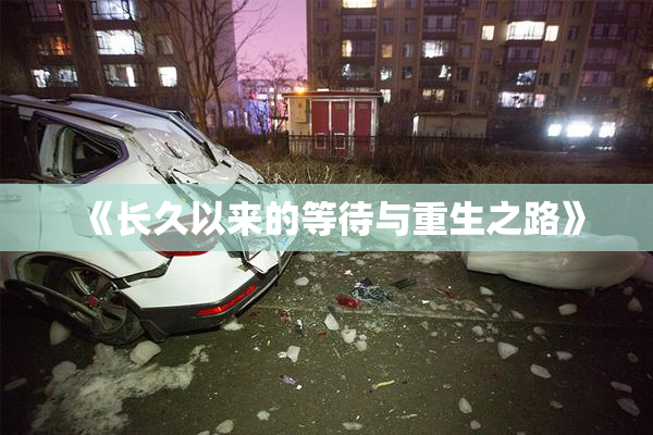 《长久以来的等待与重生之路》
