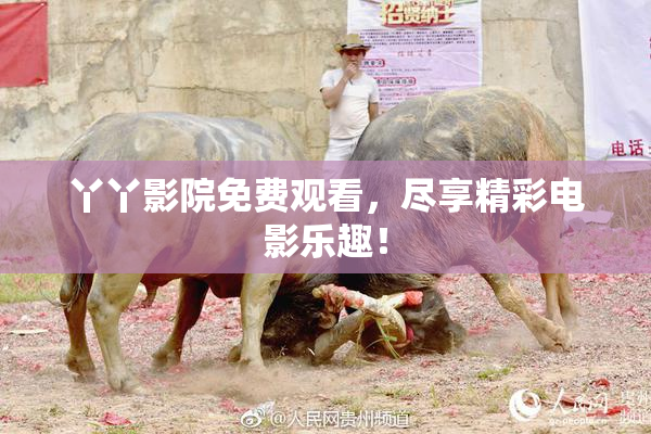丫丫影院免费观看，尽享精彩电影乐趣！