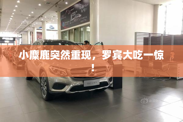 小麋鹿突然重现，罗宾大吃一惊！