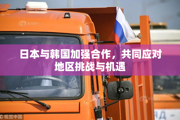日本与韩国加强合作，共同应对地区挑战与机遇