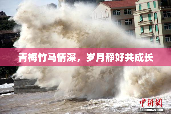 青梅竹马情深，岁月静好共成长