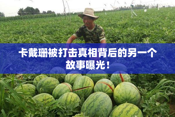 卡戴珊被打击真相背后的另一个故事曝光！