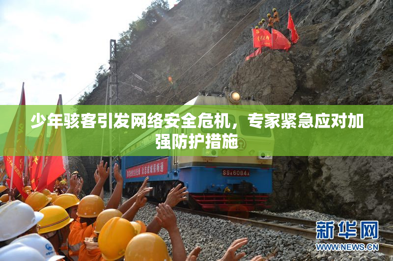 少年骇客引发网络安全危机，专家紧急应对加强防护措施