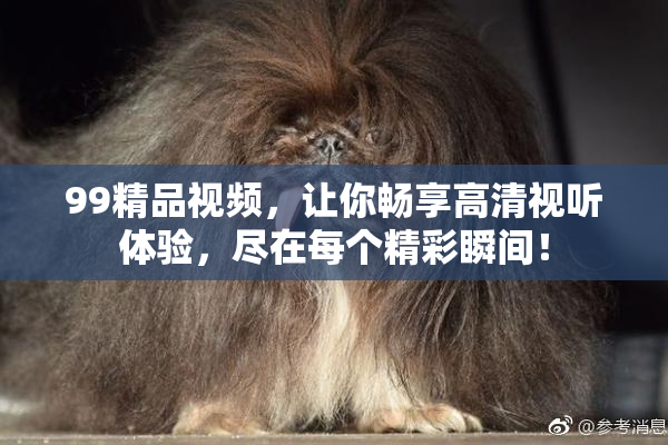 99精品视频，让你畅享高清视听体验，尽在每个精彩瞬间！
