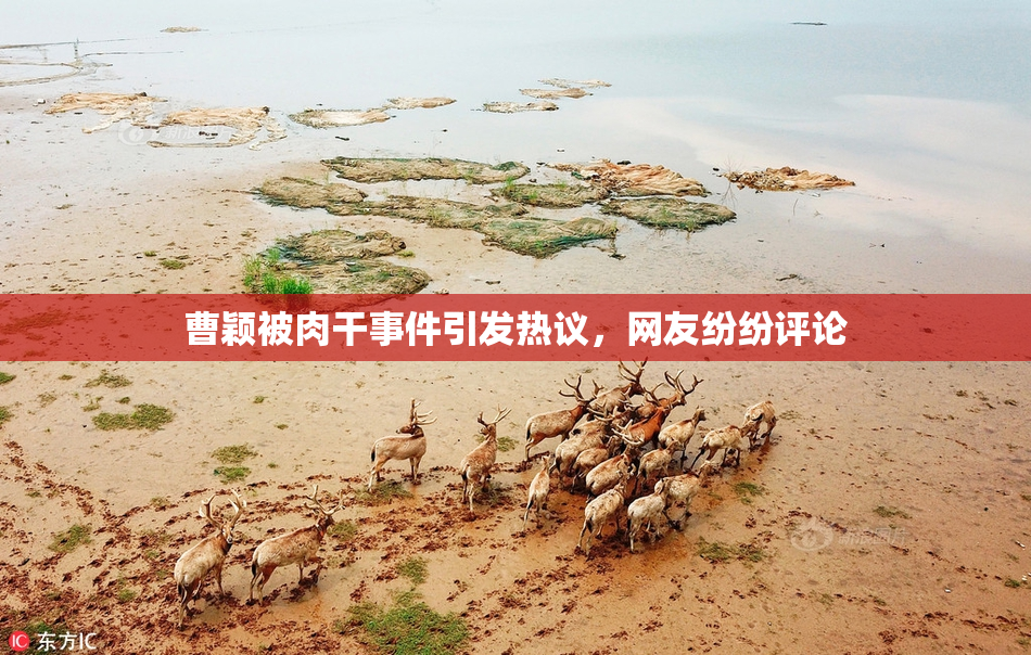 曹颖被肉干事件引发热议，网友纷纷评论