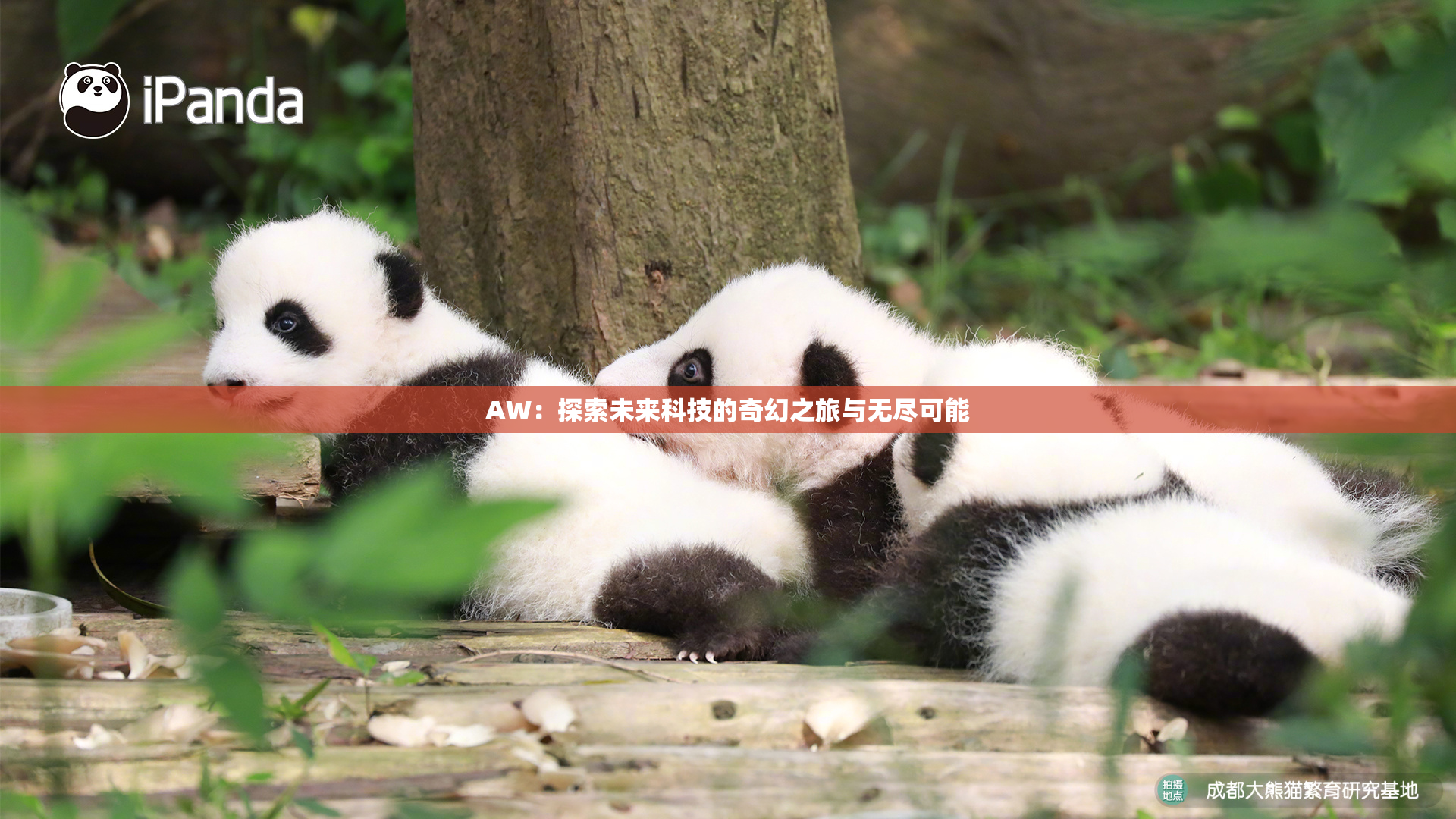 AW：探索未来科技的奇幻之旅与无尽可能