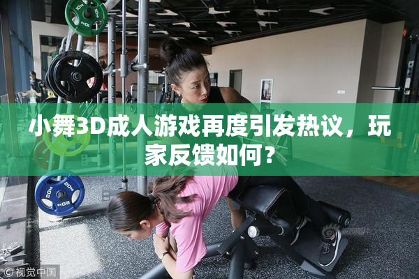 小舞3D成人游戏再度引发热议，玩家反馈如何？