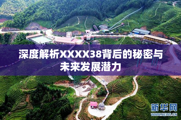 深度解析XXXX38背后的秘密与未来发展潜力