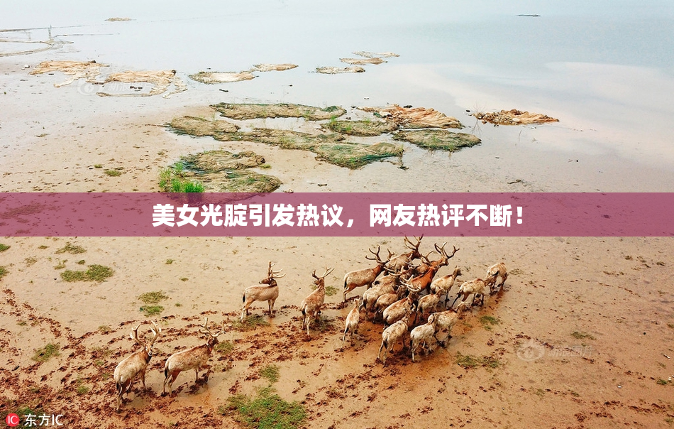 美女光腚引发热议，网友热评不断！