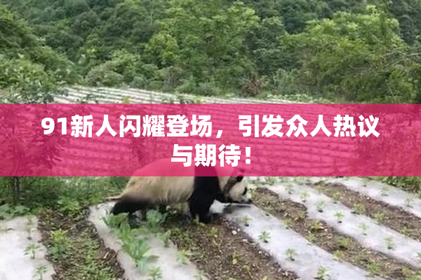 91新人闪耀登场，引发众人热议与期待！