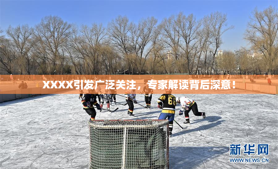 XXXX引发广泛关注，专家解读背后深意！