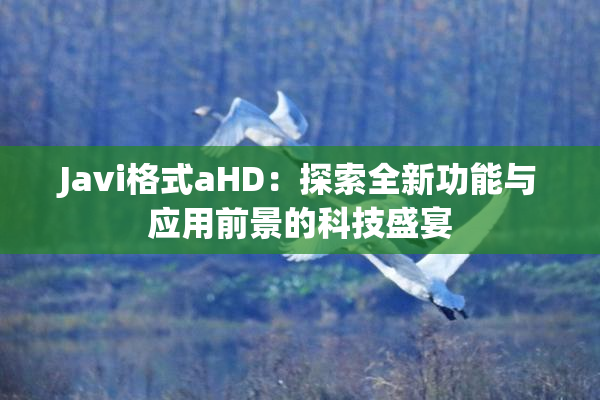 Javi格式aHD：探索全新功能与应用前景的科技盛宴