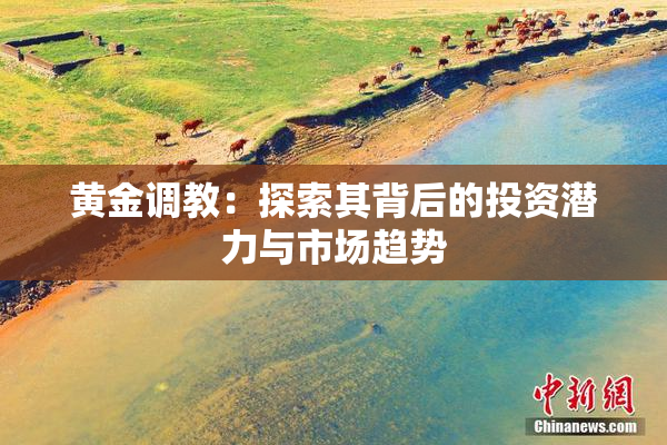 黄金调教：探索其背后的投资潜力与市场趋势