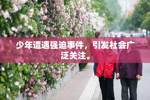 少年遭遇强迫事件，引发社会广泛关注。