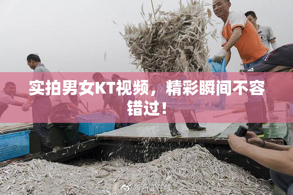 实拍男女KT视频，精彩瞬间不容错过！