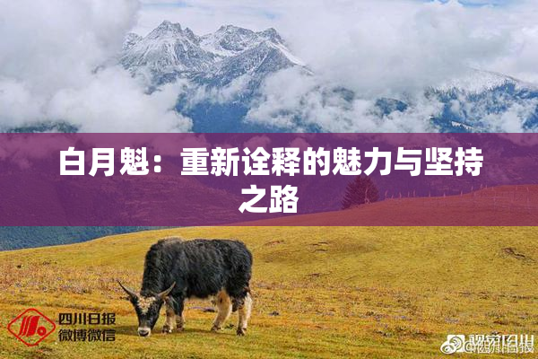 白月魁：重新诠释的魅力与坚持之路