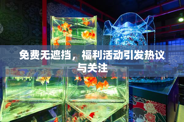 免费无遮挡，福利活动引发热议与关注