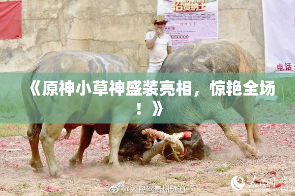 《原神小草神盛装亮相，惊艳全场！》