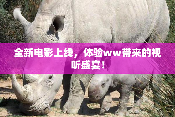 全新电影上线，体验ww带来的视听盛宴！