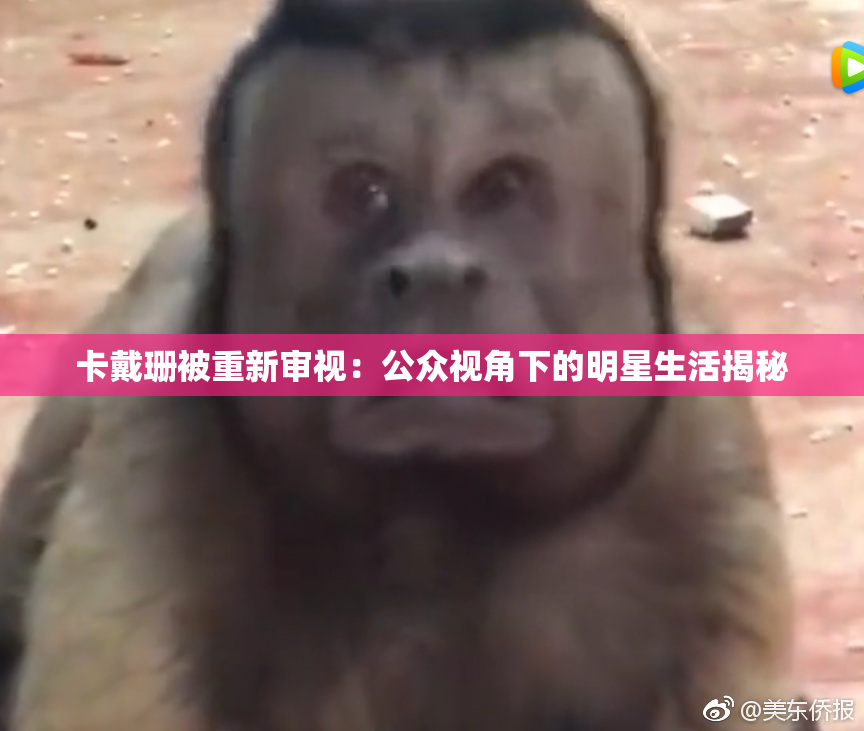 卡戴珊被重新审视：公众视角下的明星生活揭秘