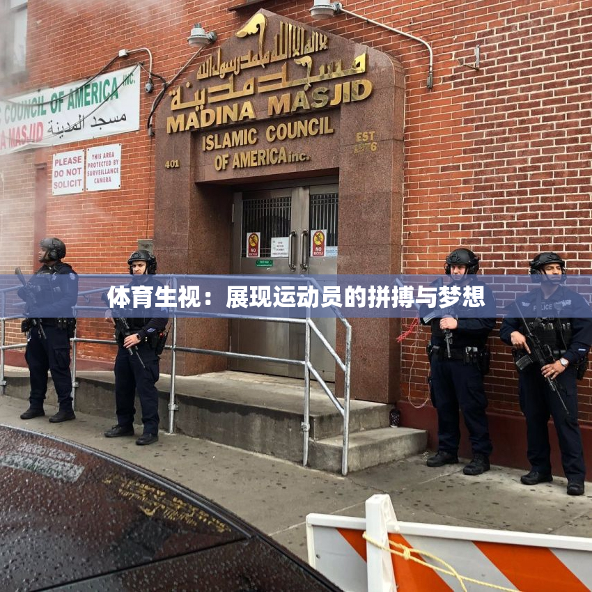 体育生视：展现运动员的拼搏与梦想