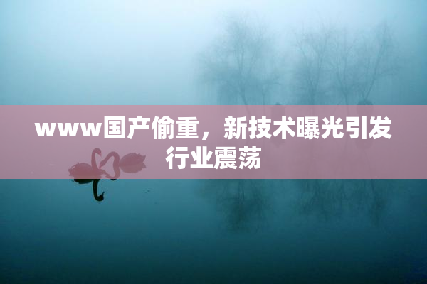www国产偷重，新技术曝光引发行业震荡