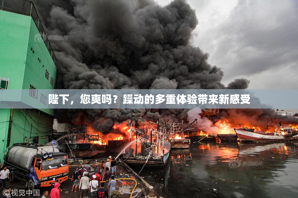 陛下，您爽吗？躁动的多重体验带来新感受