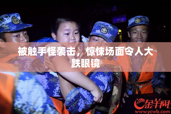 被触手怪袭击，惊悚场面令人大跌眼镜
