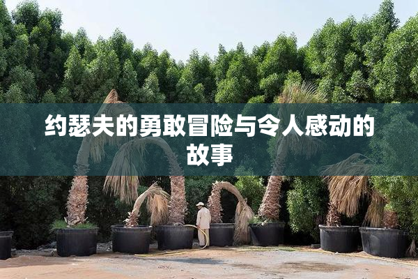 约瑟夫的勇敢冒险与令人感动的故事