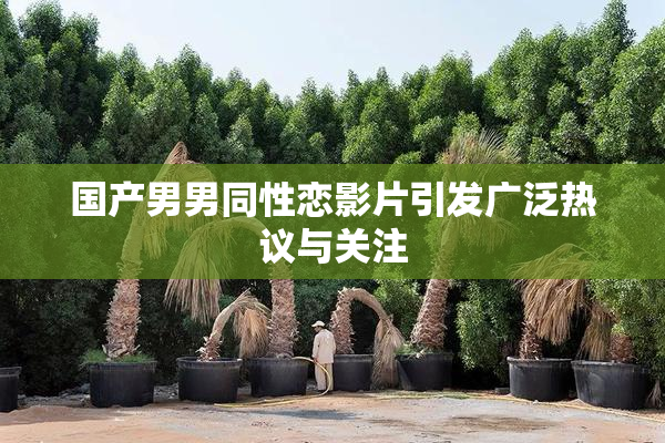 国产男男同性恋影片引发广泛热议与关注