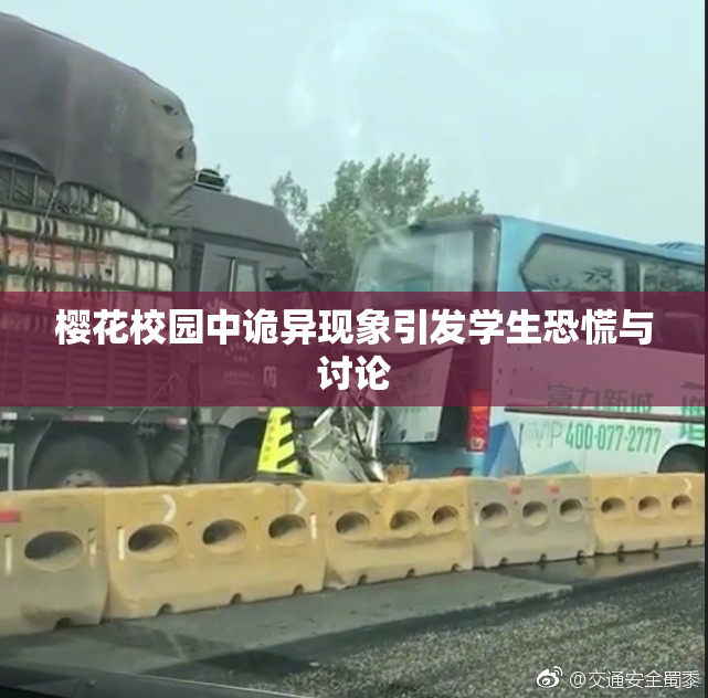 樱花校园中诡异现象引发学生恐慌与讨论