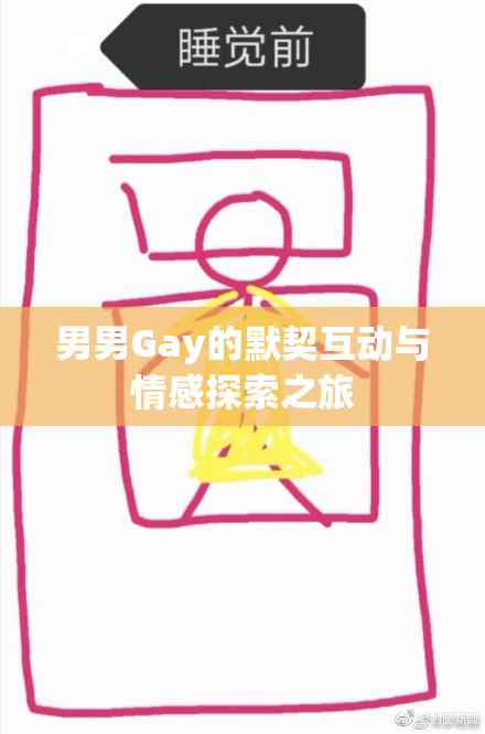 男男Gay的默契互动与情感探索之旅