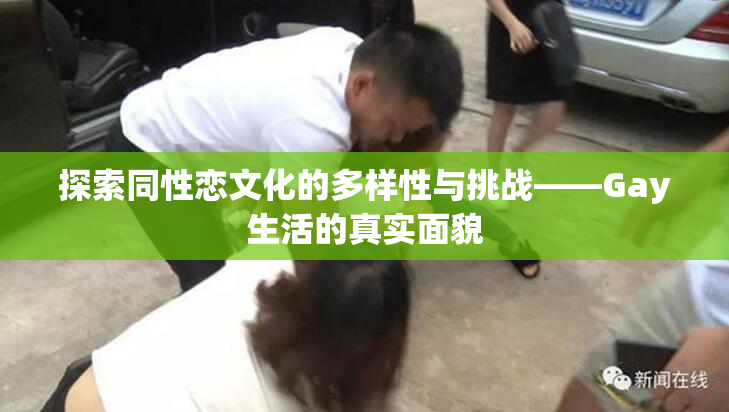 探索同性恋文化的多样性与挑战——Gay生活的真实面貌