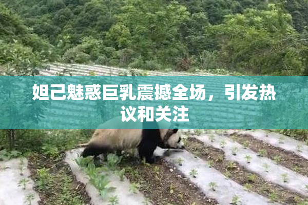 妲己魅惑巨乳震撼全场，引发热议和关注