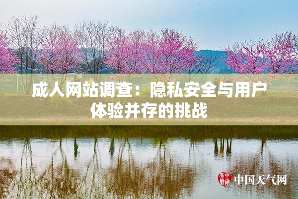 成人网站调查：隐私安全与用户体验并存的挑战